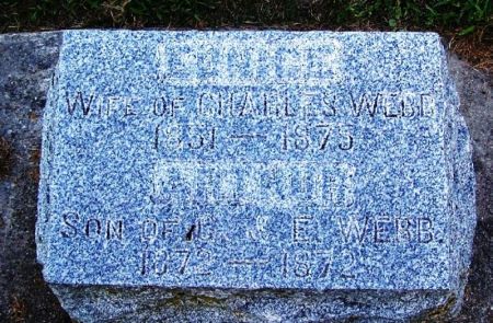 WEBB, ARTHUR - Winneshiek County, Iowa | ARTHUR WEBB 