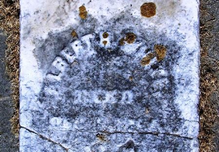 WHITE, ALBERT H. - Winneshiek County, Iowa | ALBERT H. WHITE 