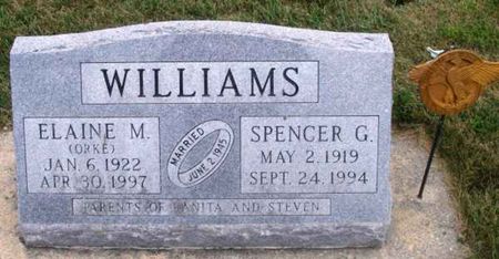 WILLIAMS, ELAINE M. - Winneshiek County, Iowa | ELAINE M. WILLIAMS 