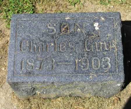 WILSON, CHARLES GUY - Winneshiek County, Iowa | CHARLES GUY WILSON 