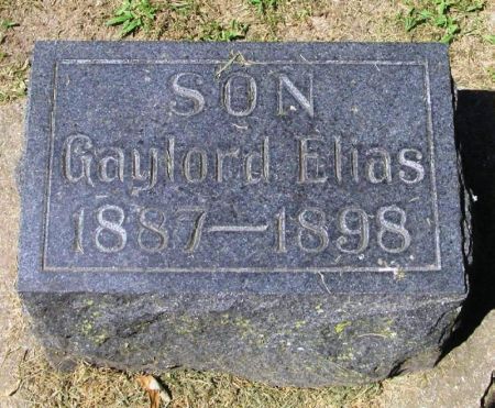 WILSON, GAYLORD ELIAS - Winneshiek County, Iowa | GAYLORD ELIAS WILSON 