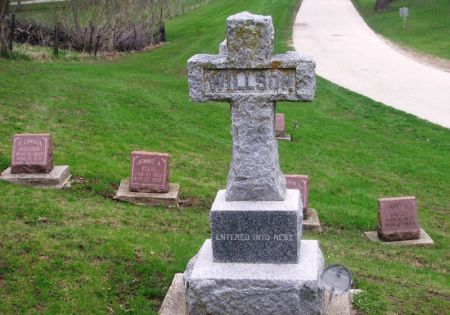 WILSON, ROLLIN FAMILY STONE - Winneshiek County, Iowa | ROLLIN FAMILY STONE WILSON 