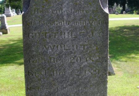 WOLDT, GOTTHILF J. S. - Winneshiek County, Iowa | GOTTHILF J. S. WOLDT 