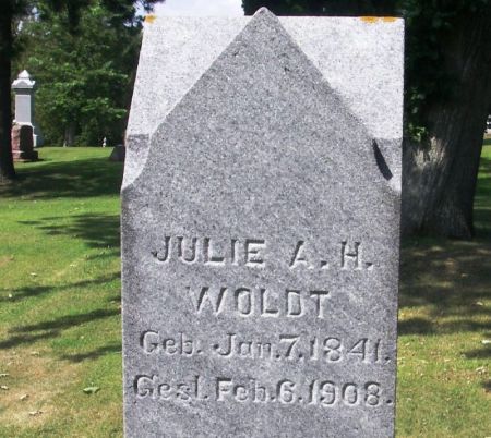 WOLDT, JULIE A. H. - Winneshiek County, Iowa | JULIE A. H. WOLDT 