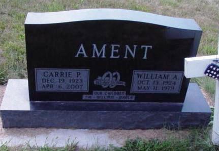 AMENT, CARRIE P - Woodbury County, Iowa | CARRIE P AMENT 