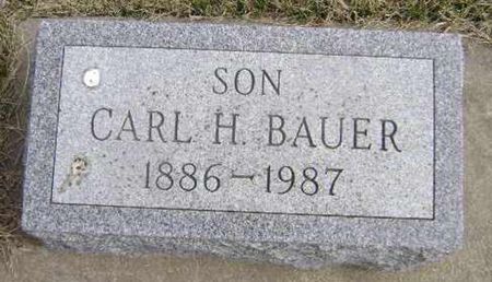 BAUER, CARL - Woodbury County, Iowa | CARL BAUER 