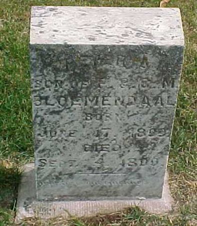 BLOEMENDAAL, PETER A - Woodbury County, Iowa | PETER A BLOEMENDAAL 