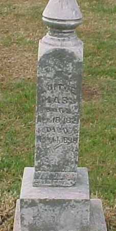 MARS, LUITJE - Woodbury County, Iowa | LUITJE MARS 