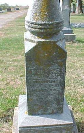 METCALF, MORRIS P - Woodbury County, Iowa | MORRIS P METCALF 