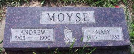 MOYSE, ANDREW - Woodbury County, Iowa | ANDREW MOYSE 