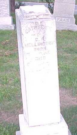 WELLINGTON, CATHERINE - Woodbury County, Iowa | CATHERINE WELLINGTON 