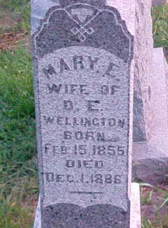 WELLINGTON, MARY E - Woodbury County, Iowa | MARY E WELLINGTON 