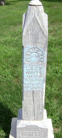 WHITE, JESSIE MAY - Woodbury County, Iowa | JESSIE MAY WHITE 
