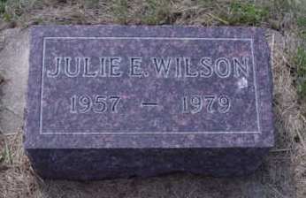 WILSON, JULIE E - Woodbury County, Iowa | JULIE E WILSON 