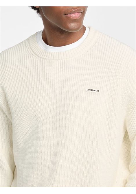 Guess Jeans maglione in cotone GUESS JEANS | Maglie | M5YR25 Z3HM1G293