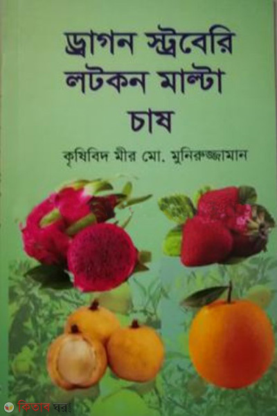 dragon stobery lotkon malta chash (ড্রাগন স্ট্রবেরি লটকন মাল্টা চাষ)