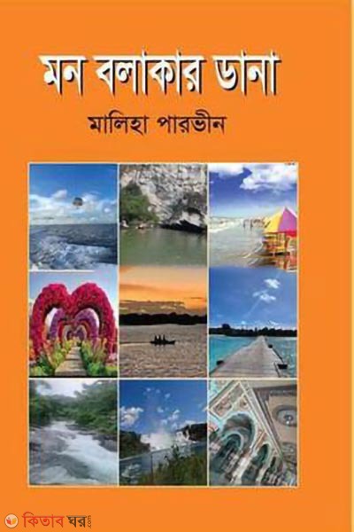 mon bolakar dana (মন বলাকার ডানা)