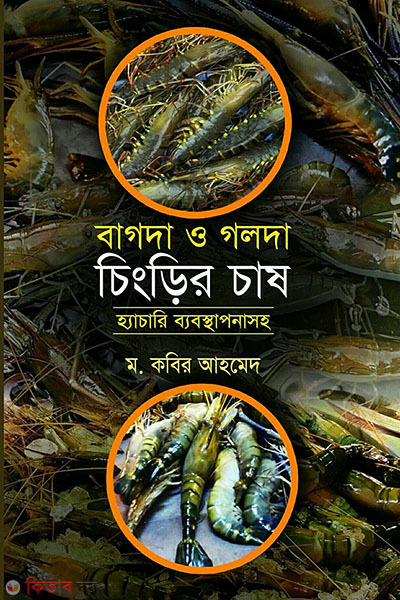 baghda o golda chingrir chash (বাগদা ও গলদা চিংড়ি চাষ )