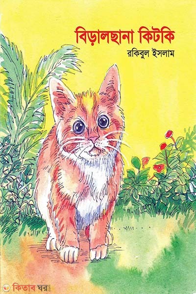 biralchana kitki (বিড়ালছানা কিটকি)