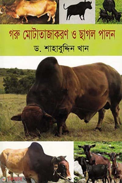goru motatajakoron o chagol palon (গরু মোটাতাজাকরণ ও ছাগল পালন)