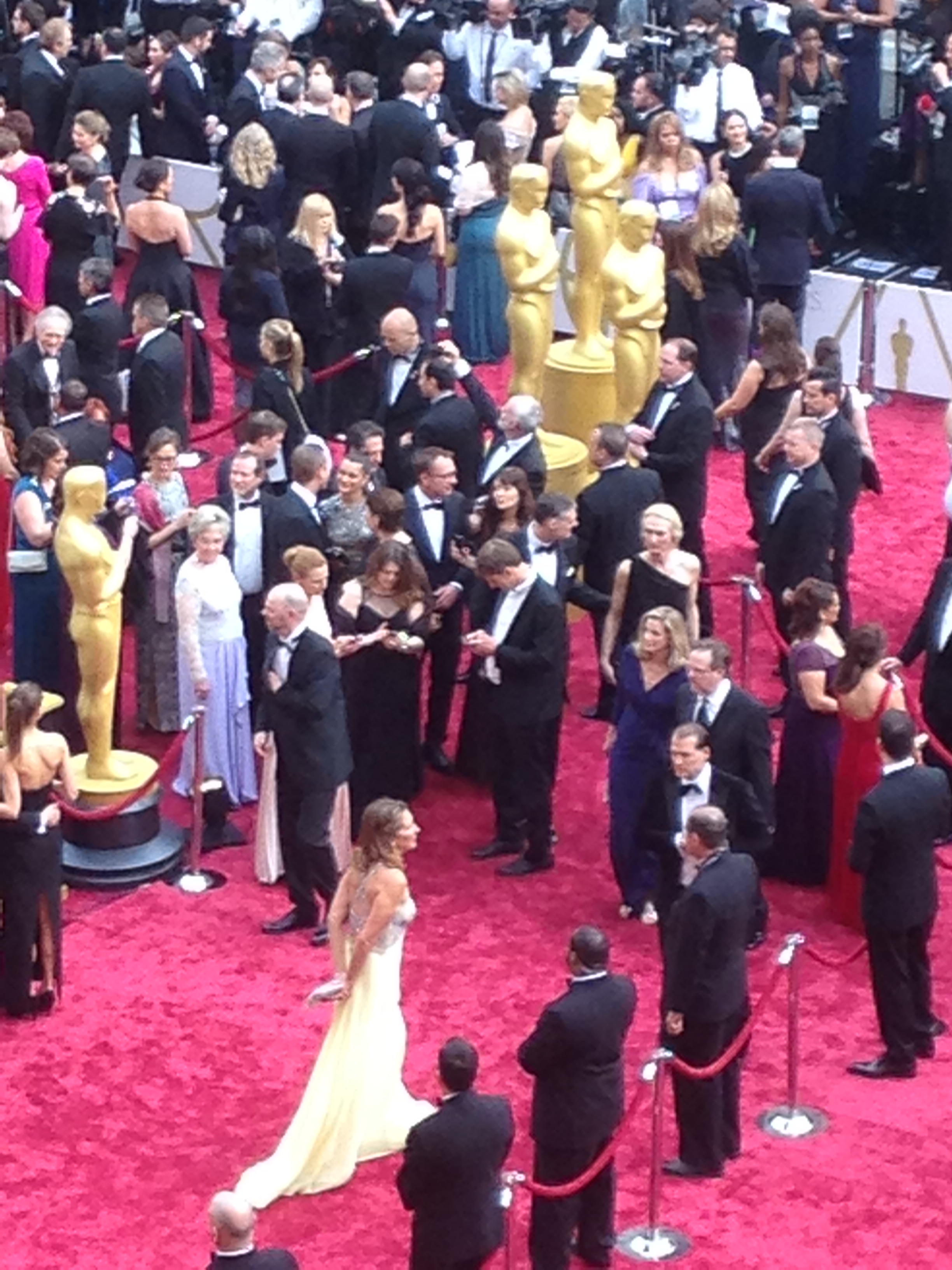 Oscars 2014: A Big Night For Veterans And Novices