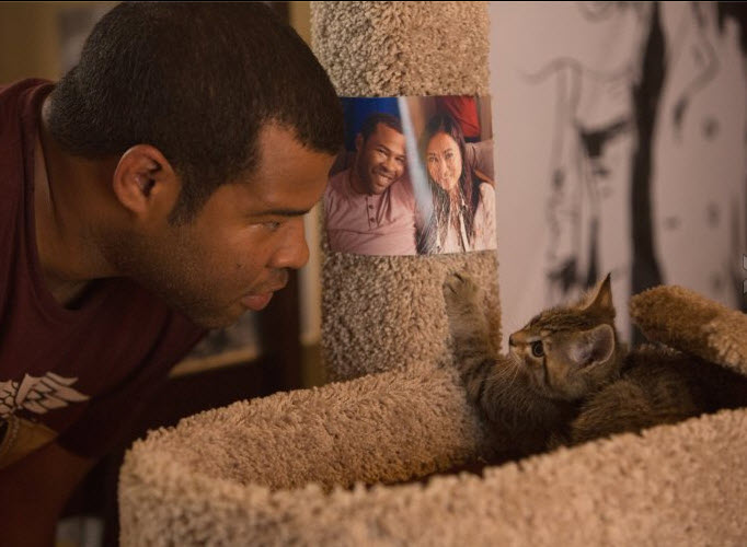 Catnapped!  Jas Shelton Discusses "Keanu" During NAB ICG Panel