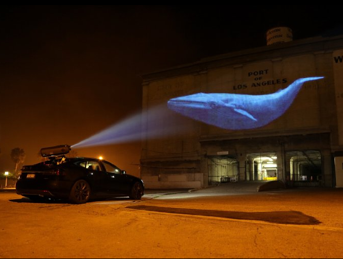 "Racing Extinction" Producers Olivia Ahnemann and Fisher Stevens On Their Emmy Nominated Work