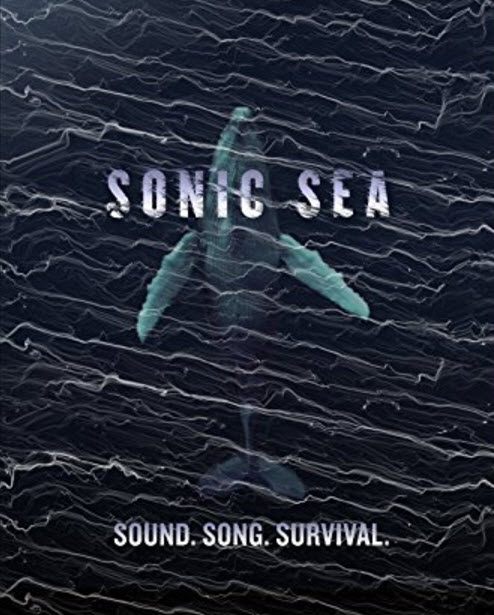 From Whale Songs To Clarinets: Heitor Pereira's Score For "Sonic Sea" Earns Emmy Nom