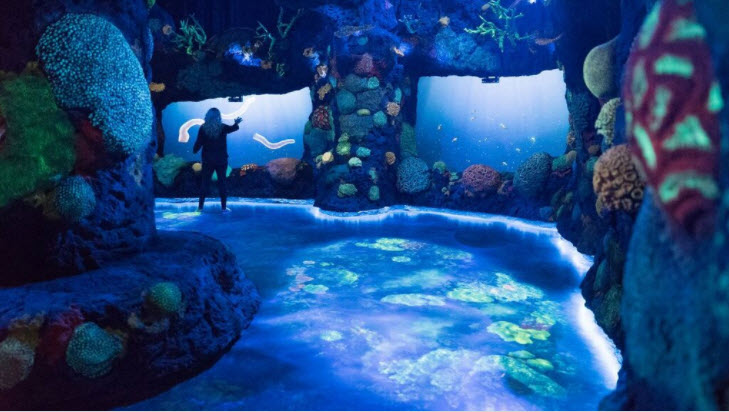 Pixomondo Trailblazes in Themed Entertainment VFX For National Geographic's " Ocean Odyssey"