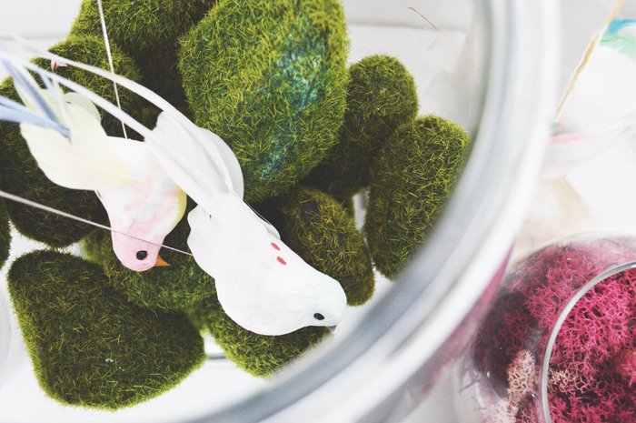 108 2f2015 02 05 120123 jars of moss