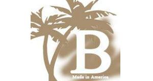 Biddiscombe International, LLC logo
