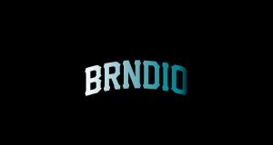 BRNDiO logo