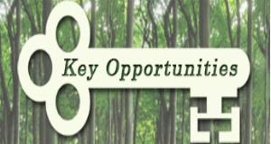 Key Opportunities, Inc. logo