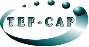 Tef Cap Industries logo