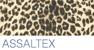 Assaltex logo
