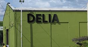 Delia Furniture logo