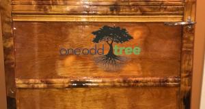 One Odd Tree logo