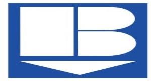 Basic Adhesives logo