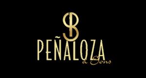 Penaloza & Sons logo