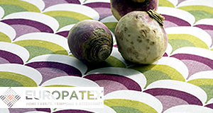 EuropaTex Inc. logo