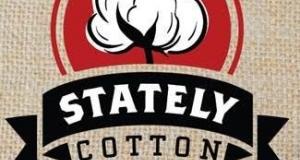 Stately Cotton