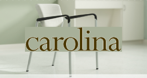 Carolina Business Furniture logo