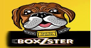 Boxzster logo