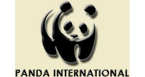 Panda International Trading Co. logo