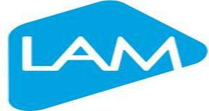 LAM Design logo