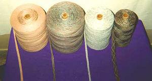 Standard Typtape logo