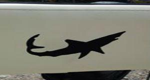 Tampa Bay Canvas and Upholstery logo