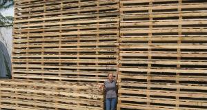 Clary Lumber Company logo