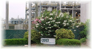 Cerex Advanced Fabrics Inc logo