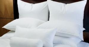 Euro Square Pillow Insert FEATHER / DOWN - ALL SIZ